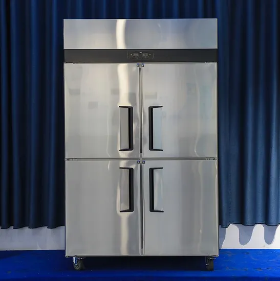 Commercial Vertical Stainless Freezer with Dual Temperature and Luxury Design