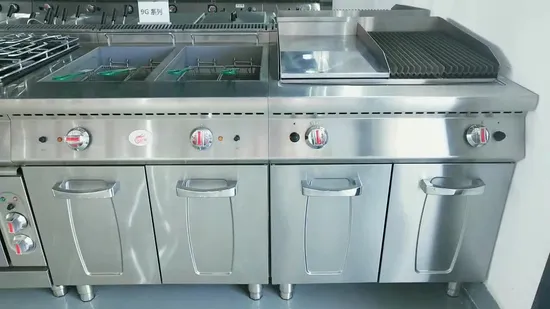 Commercial Grade 21L Electric Deep Fryer for Perfect Fries