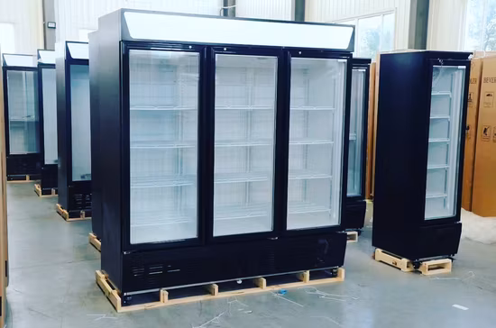 Display Upright Freezer High Quality Commercial Storage Chiller Fridge Beverage Cooler Refrigerator