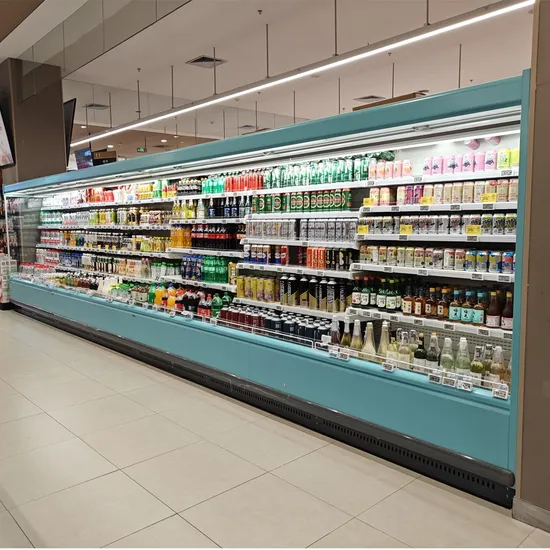 Commercial Upright Cooler Supermarket Display Refrigerator for Super Market