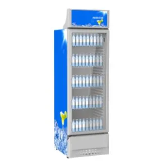 Display Chiller Glass Door Refrigerator Commercial Vertical Ice Cream Bakery Water CE Frozen Food Vertical Showcase Upright Double Door Freezer for Supermarket