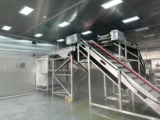 Industrial CE Certified Blast Freezer and Fluidized Bed Freezer