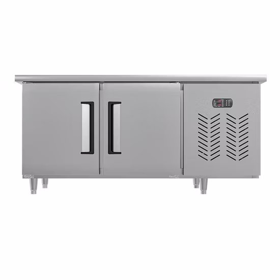 Stainless Steel Restaurant Kitchen Vertical Freezer Refrigerator Equipment Commercial Freezer