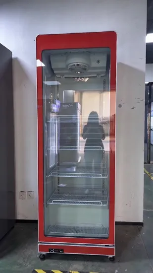 Drink Refrigerator Commercial Door Display Chiller Fridge