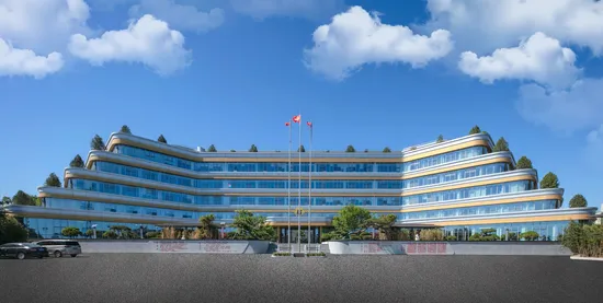 Treasures for Cooks No Added Synthetic Pigments Mushroom Flavor Soup Base for Hotpot, Easy to Use Mushroom Soup Hot Pot Base 