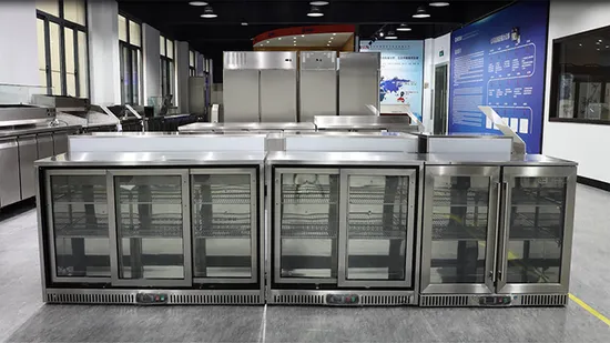 Restaurant Upright Freezer Vertical Fridge One Door Commercial Refrigerators Refrigeration Equipment 