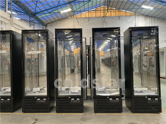 Single Door Beer Bottle Drink Dispplay Cooler Upright Showcase Back Bar Cooler 